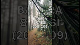 Bakara Suresi 208-209.Ayet