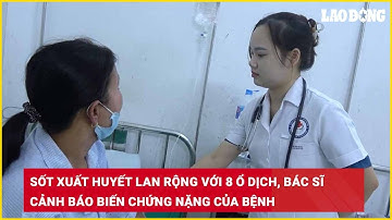 Sốt xuất huyết lan rộng với 8 ổ dịch, bác sĩ cảnh báo biến chứng nặng của bệnh| Báo Lao Động