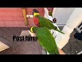Animal farm long island .. #fyp #exploreny #vlog #trending #viral #shortsvideo