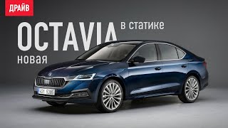 Skoda Octavia седьмого поколения в статике — репортаж Кирилла Бревдо