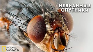 Наши Невидимые Спутники | Документальный Фильм National Geographic