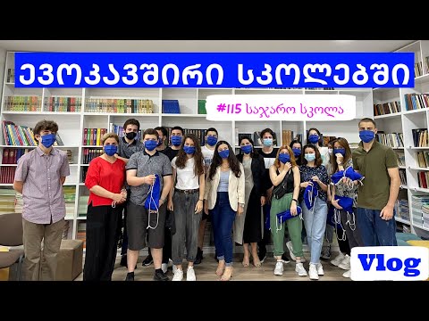 კამპანია: ევროკავშირი სკოლებში l სტუმრად 115-ე საჯარო სკოლაში l EU in Schools Campaign (YEAs) l vlog