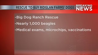 Ridglan Farms to transfer nearly 1,000 beagles to rescue group