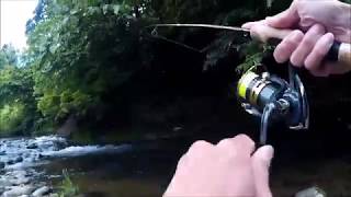 オルルド釣り具の５ｇスプーンでイワナ釣り