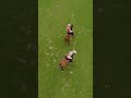 The basics of the polo positions pt 2!
