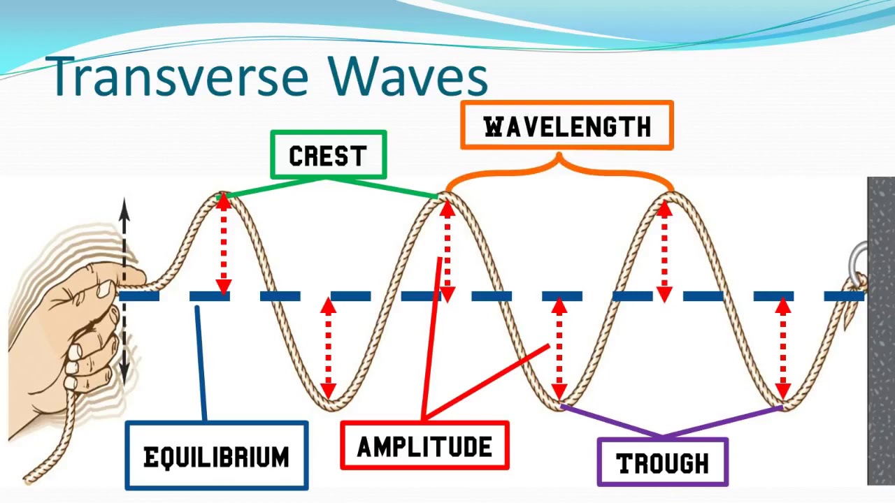 wave-basics-worksheet-free-download-gmbar-co