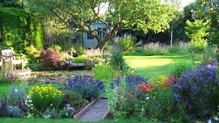 'The Cottage' Garden in Surrey  An English Country Garden Through the Seasons