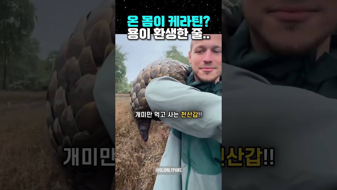 온 몸이 케라틴? 용이 환생한 줄..