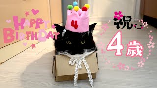 【4K】㊗誕生日うには4歳になりました happy Birthday!! Uni is 4 years old and so wonderful!