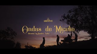 2. Ondas de Micelio - Inner Groove Ft Mismo Perro [Video Oficial]