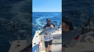 🎣 ¡Spanish Mackerel a Slow Jigging!