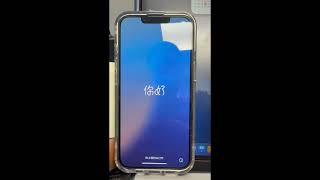 Short Apple's Setup Assistant Helps ID iPhone Model 1 4K