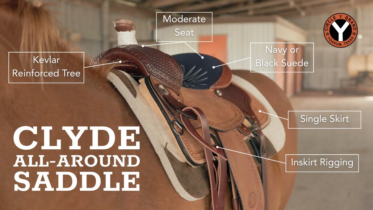 NEW 2025 Clyde All-Around Saddle by Circle Y!