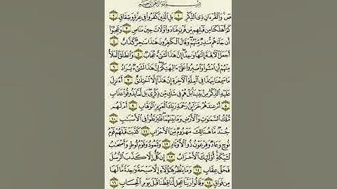 سورة ص من الآية ١ إلى الآية ١٦بصوت القارئ ماهر المعيقلي