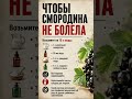 #огороднаподоконнике #огород #садоводничество #рецепты #обзордачи #дача #смородина #кулинария