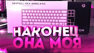 НАКОНЕЦ-ТО ОНА МОЯ | HATOR SKYFALL HEX WIRELESS