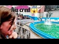 „N-ai cum așa ceva! Ce s-a întâmplat la jumătatea spectacolului cu delfini? 😱”