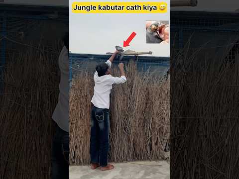 Pox wali jungle kabutar ko cath kiya 😱 #shorts #viral #viral