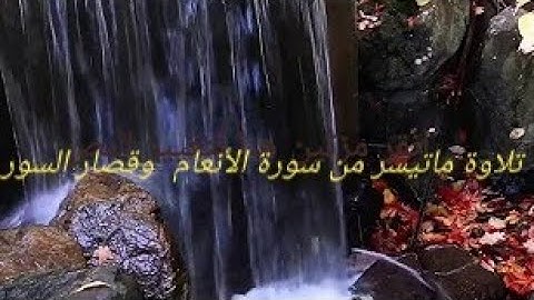 تلاوة ما تيسر من سورة الأنعام وقصار السور🍃 بصوت الشيخ محمود الخشت🌺