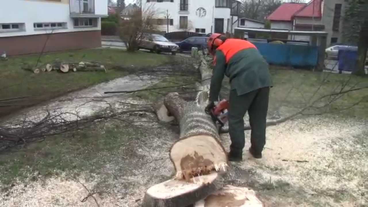 Revitalizace zeleně v Rychnově vyvolala řadu emocí