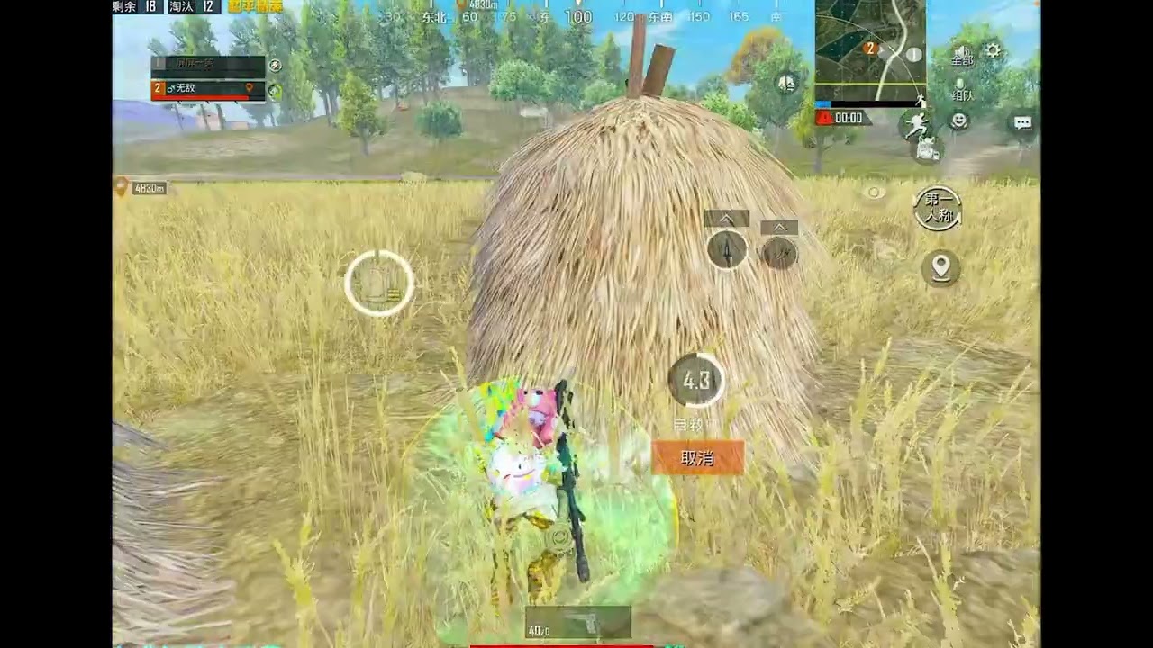 A妹和小黑鸡一起打主题海岛，肚子笑痛，节目效果拉满#A妹 #小黑鸡 #鲨鱼哟syy #和平精英 @M（A妹）