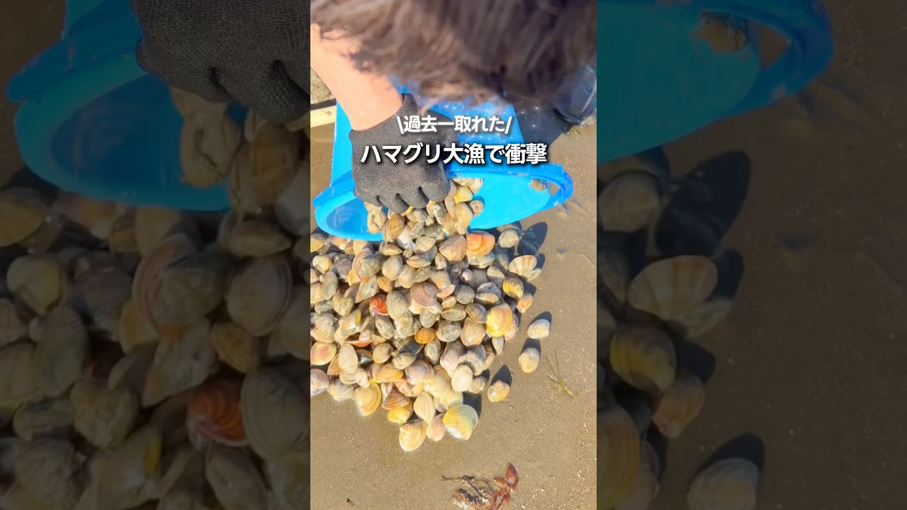 ハマグリがやべえスポット🤣