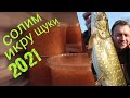 икра щуки засолка 🔥🔥🔥🔥          30 лет  солю икру щуки только  таким способом !!! 😋😋😋