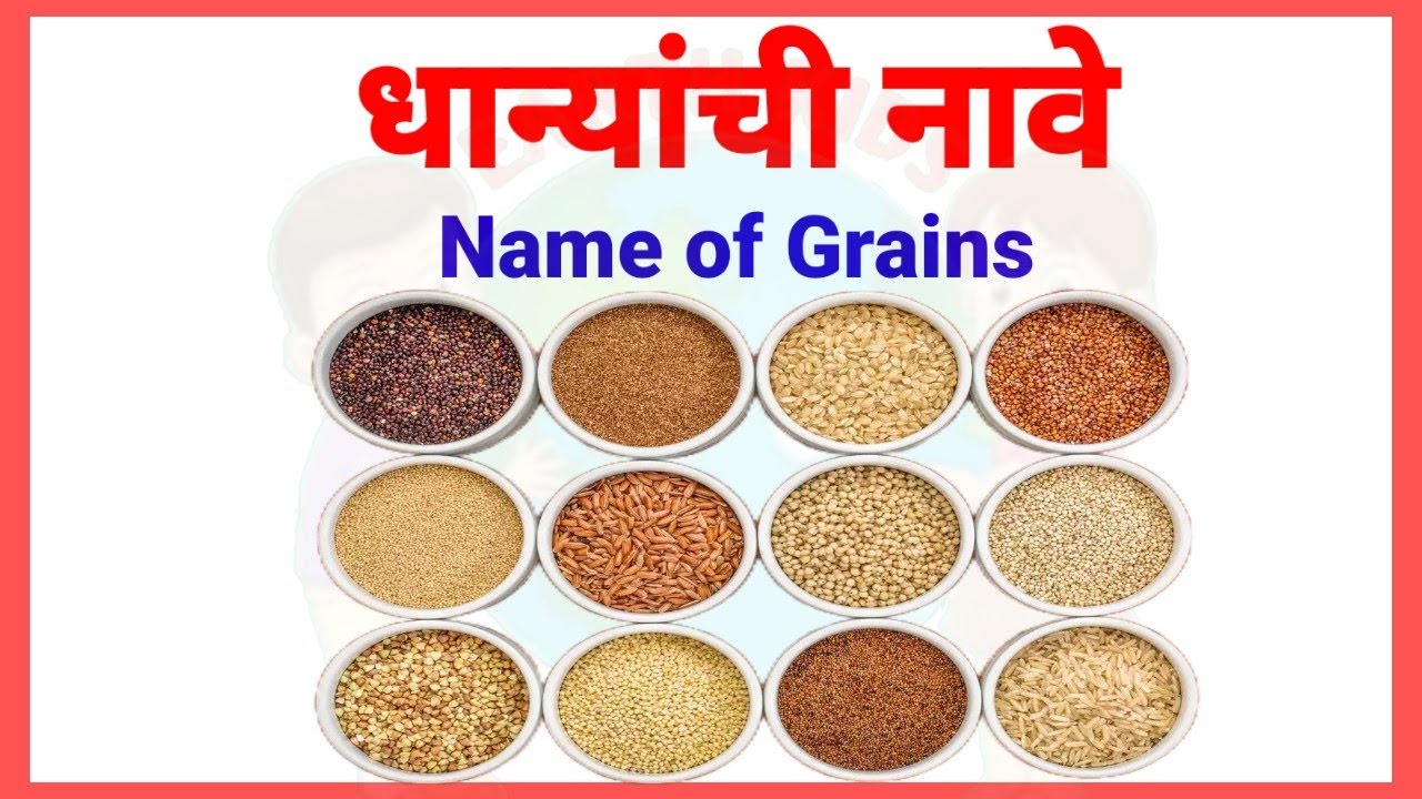 Names of grains English hindi Marathi kannad Grains picture Guess the