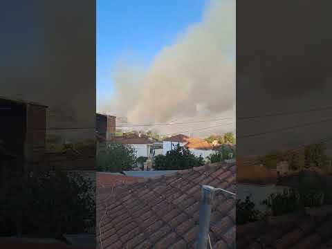 Φωτιά στην Ηλεία (1)