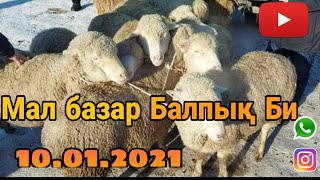 Мал базар Талдықорған 10.01.2021 / мал базар Кировск