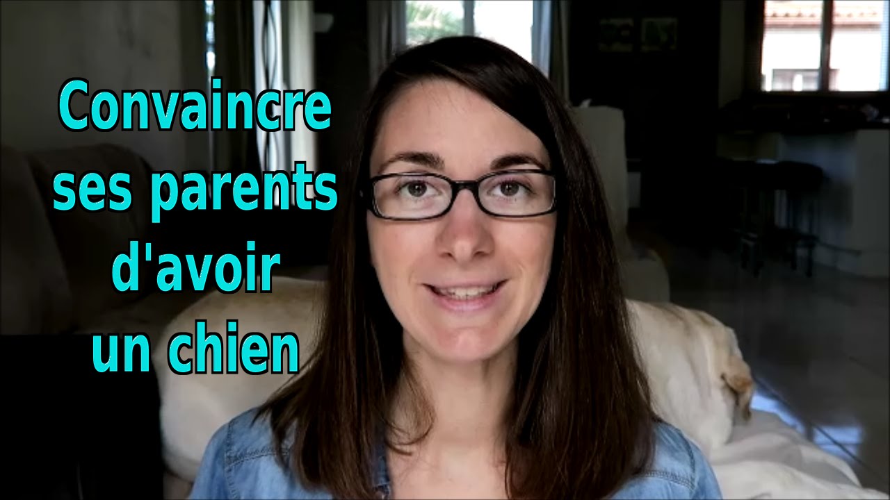 Comment Convaincre Ses Parents D Avoir Un Iphone