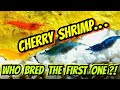 The History of Red Cherry Shrimp -The First One & Why  Names Like Blue Dream or Blue Velvet Matter
