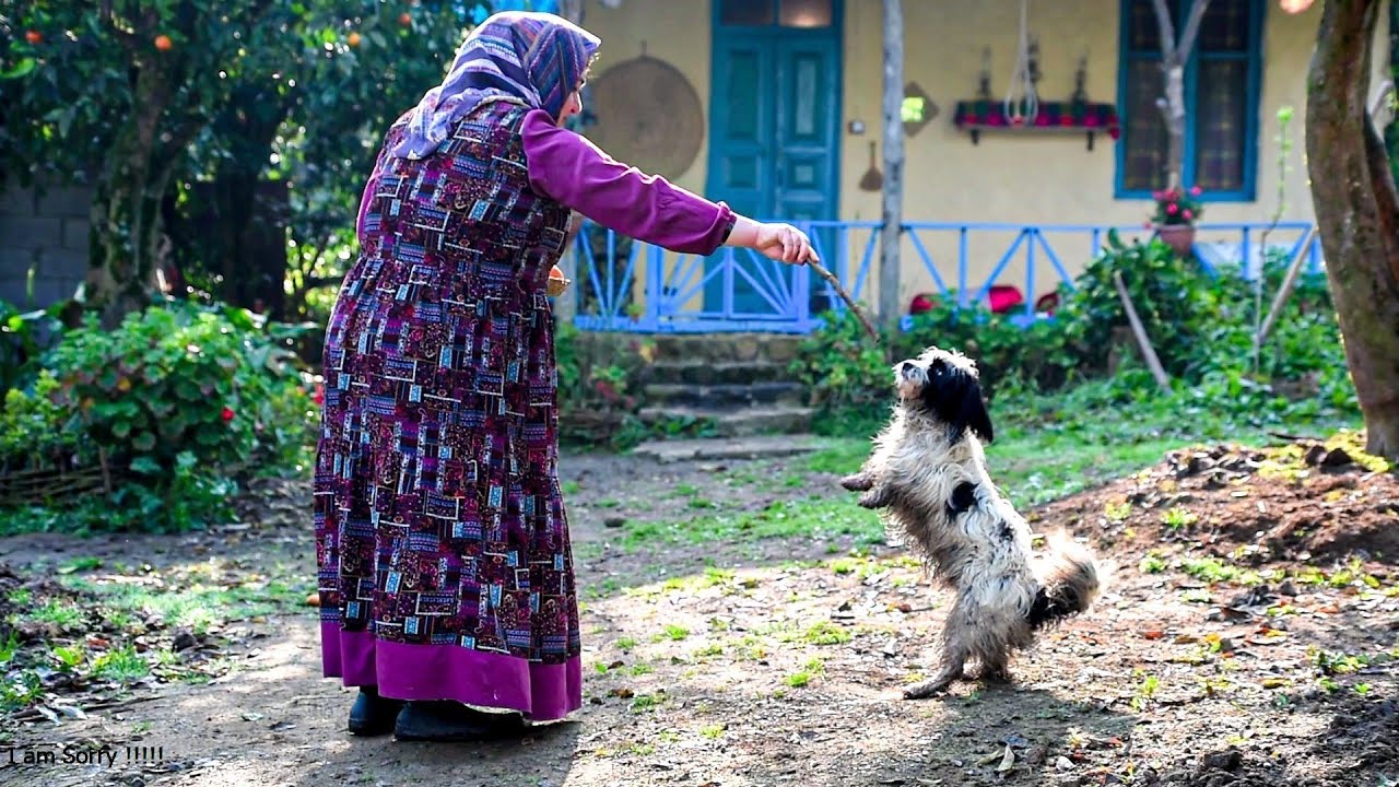 Traditional Homemade Cake Recipe | Rural Couple