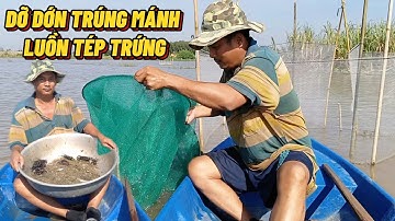 Thăm Dớn Vào Mùa Nước Nổi Trúng Luồn Tép Trứng Kho Khô - Anh Chuối Vợ Bỏ Vì Tật Nguyền#Trungtinhtv
