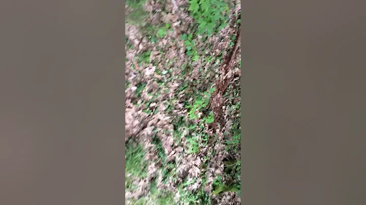 My first squib load!