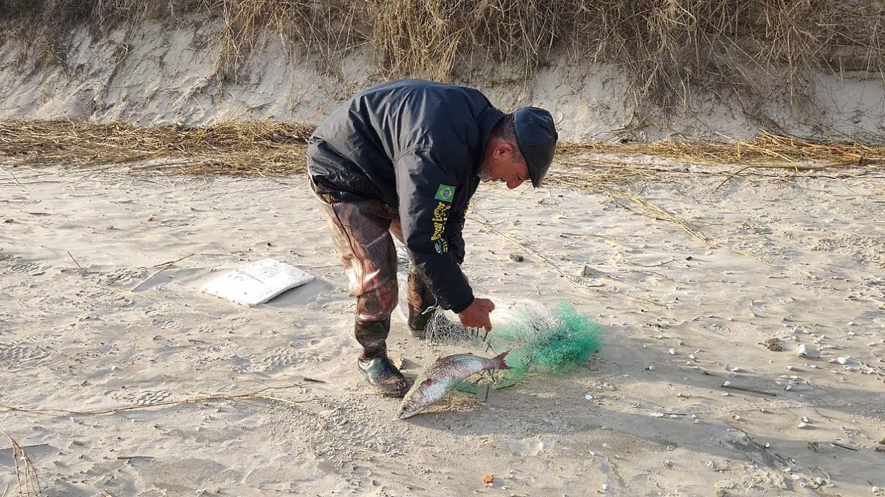 Pesca de tarrafas, 10-07-23, Barra de Tramandaí, tainhas saindo com mostra de botos.