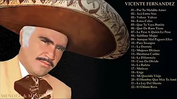 VICENTE FERNANDEZ LO MEJOR DE LO MEJOR SUS GRANDES CANCIONES