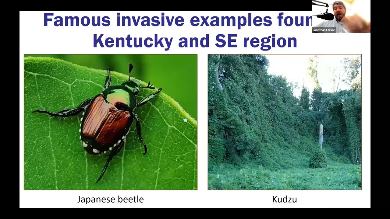 4-H KY KEEPERS: Teaching & Communicating About Invasive Species