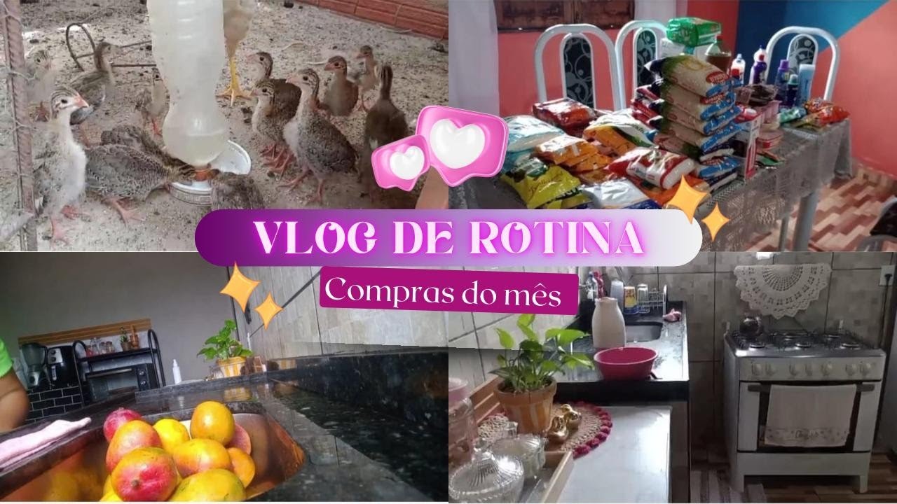 Vida na Roça: Compras do Mês + Faxina Real de Dona de Casa