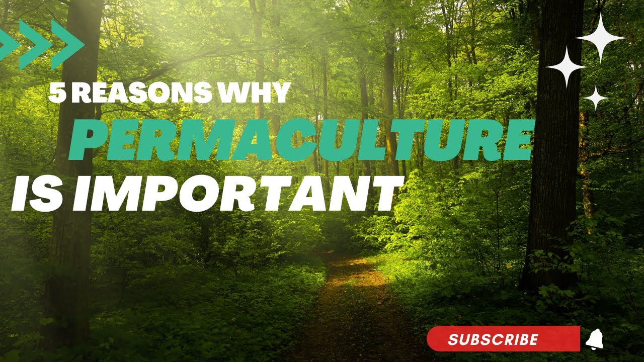 5 Reasons Why Permaculture is Important! - YouTube