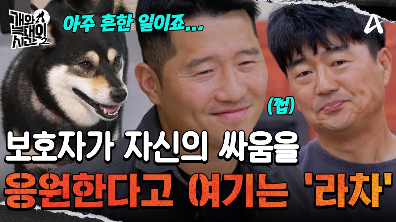 "왜 아무 일도 없어?" 보호자가 사라지자 벌어진 반전! | 개와 늑대의 시간2 33 회