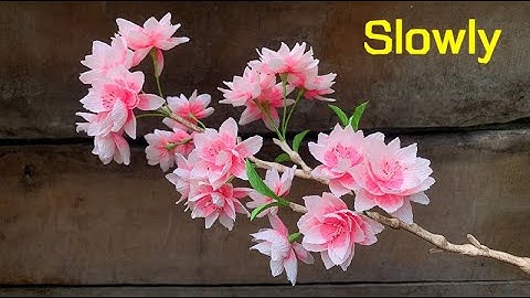 ABC TV | How To Make Double Cherry Blossom Flower From Crepe Paper (Slowly) - Craft Tutorial