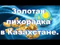 Как не пропустить все самое интересное золотая лихорадка в Казахстане.