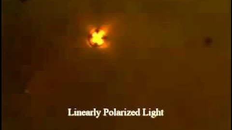 Chiral resolution of spin angular momentum in linearly polarized and unpolarized light