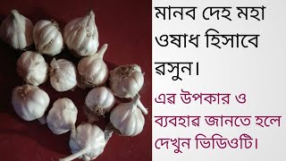 রসুনের উপকারিতা কি।Garlic Benefits in Bangla