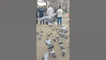 انشودة الطفوله تتحقق سعودية مكه المكرمه اكسبلور ترند عمرة حرم المكي مكة الآن 
