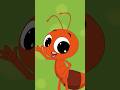 A Makes The 'Ah'! Sound - Letter A 🐜 #abcsong #preschoolletters #phonics