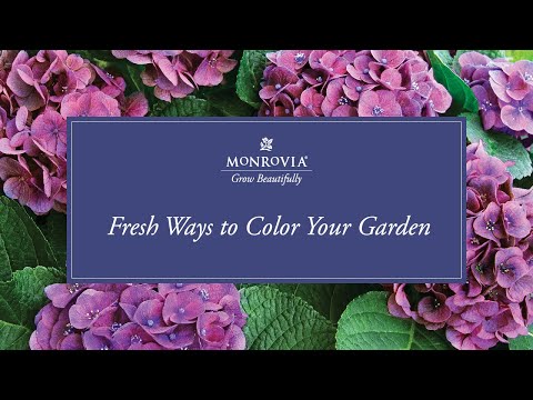 Vídeo: Color Palette Garden Designs: Incorporando paletas de cores Pantone no jardim