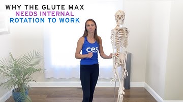 Why the Glute Max Needs Internal Rotation to Work