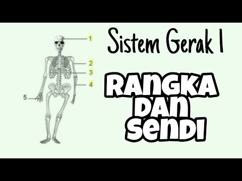 Video: Jenis Sistem Rangka Dengan Deskripsi Dan Karakteristik, Serta Fitur Struktur Dan Pemasangannya